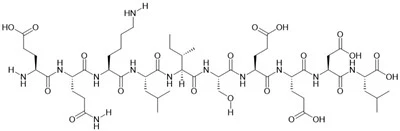 Myc epitopa peptīds